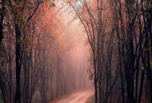 WELLBET官网：[国内球]“村界杯”新春火热开赛.