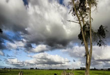 WELLBET官网：[德甲]70米无死角 德甲转播首次使用超长轨道.